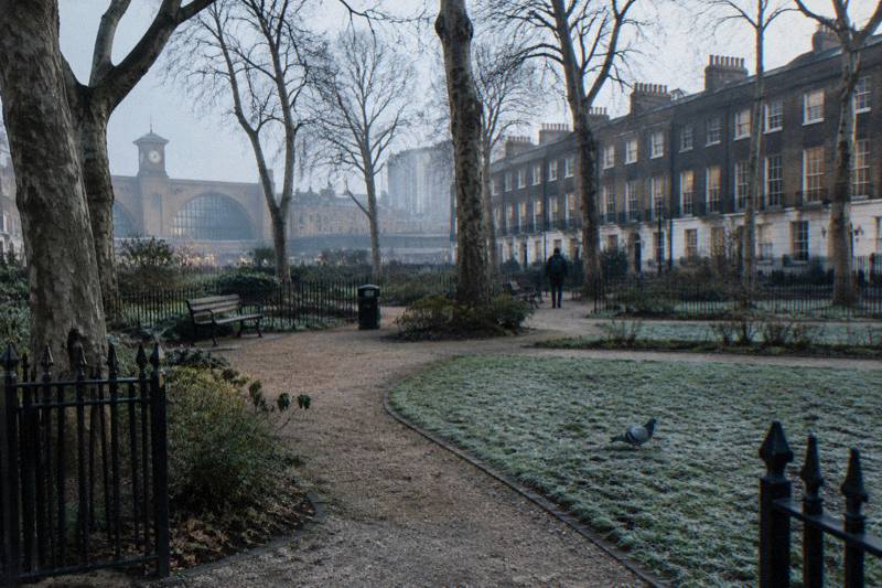Misty King's Cross garden square with iron railings, bare plane trees and Georgian terraces