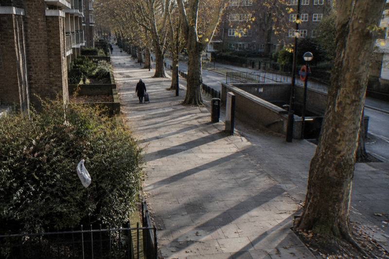 Long shadows striping pale slabs under plane trees near Waterloo in late autumn