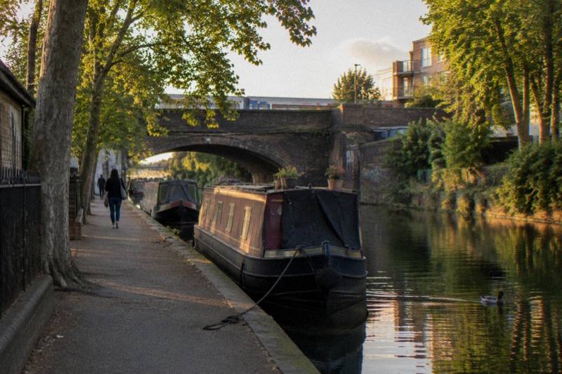 Evening sun on a Hammersmith canal towpath with narrowboats moored under plane trees