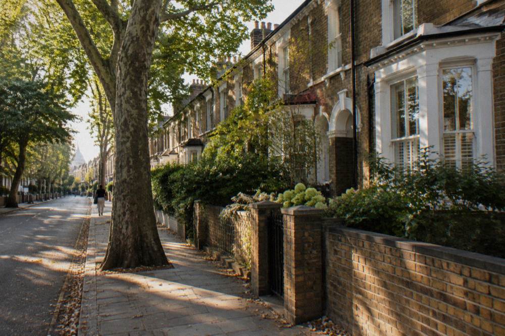 A quiet London residential street with terraced houses and plane trees in late afternoon light