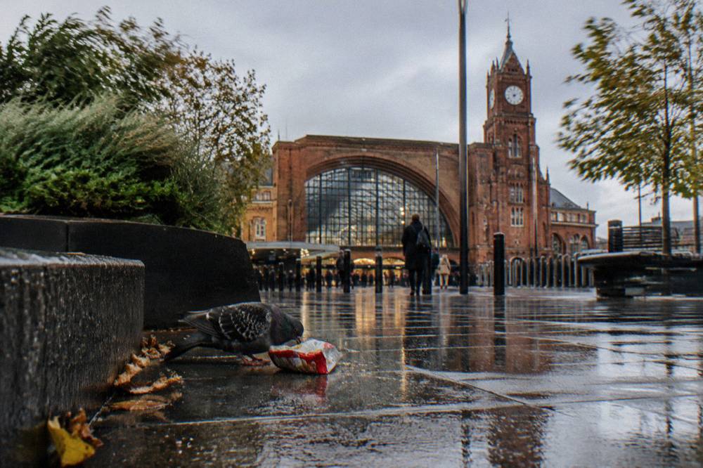 An exterior view of a London railway station with a glass and brick facade