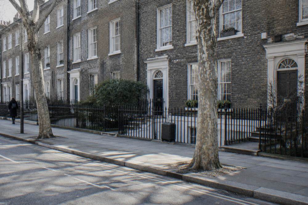 A London residential street with terraced houses and bare trees in morning light