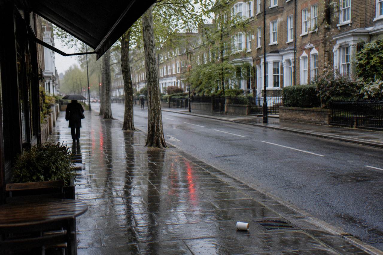 A quiet west London residential street with terraced houses and plane trees