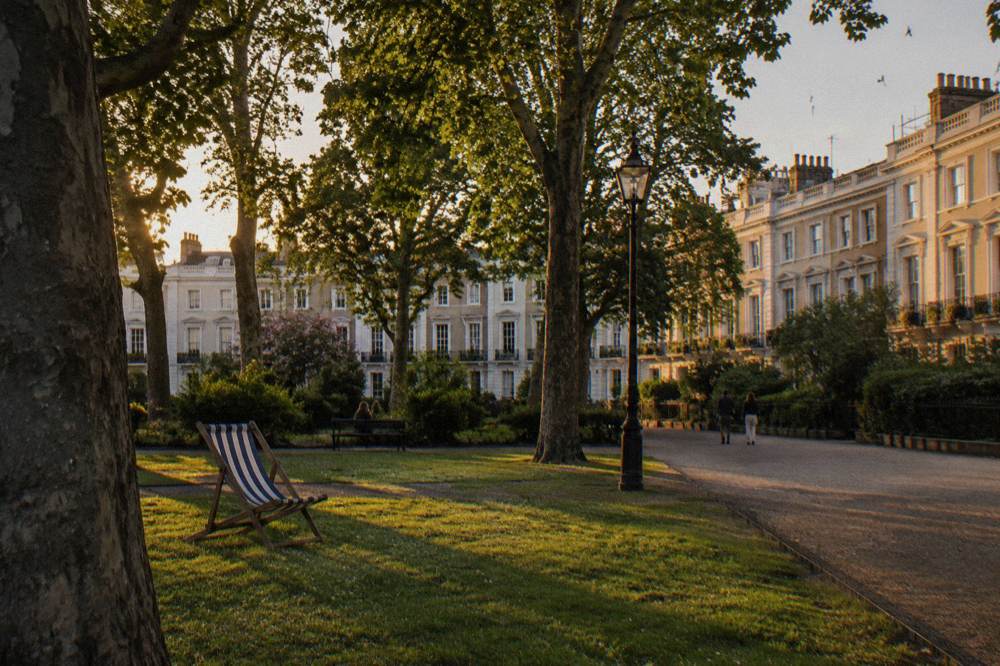 A quiet west London square with plane trees and terraced houses in evening light