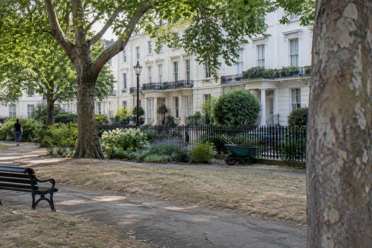 A quiet west London residential street with white stucco terraced houses and plane trees