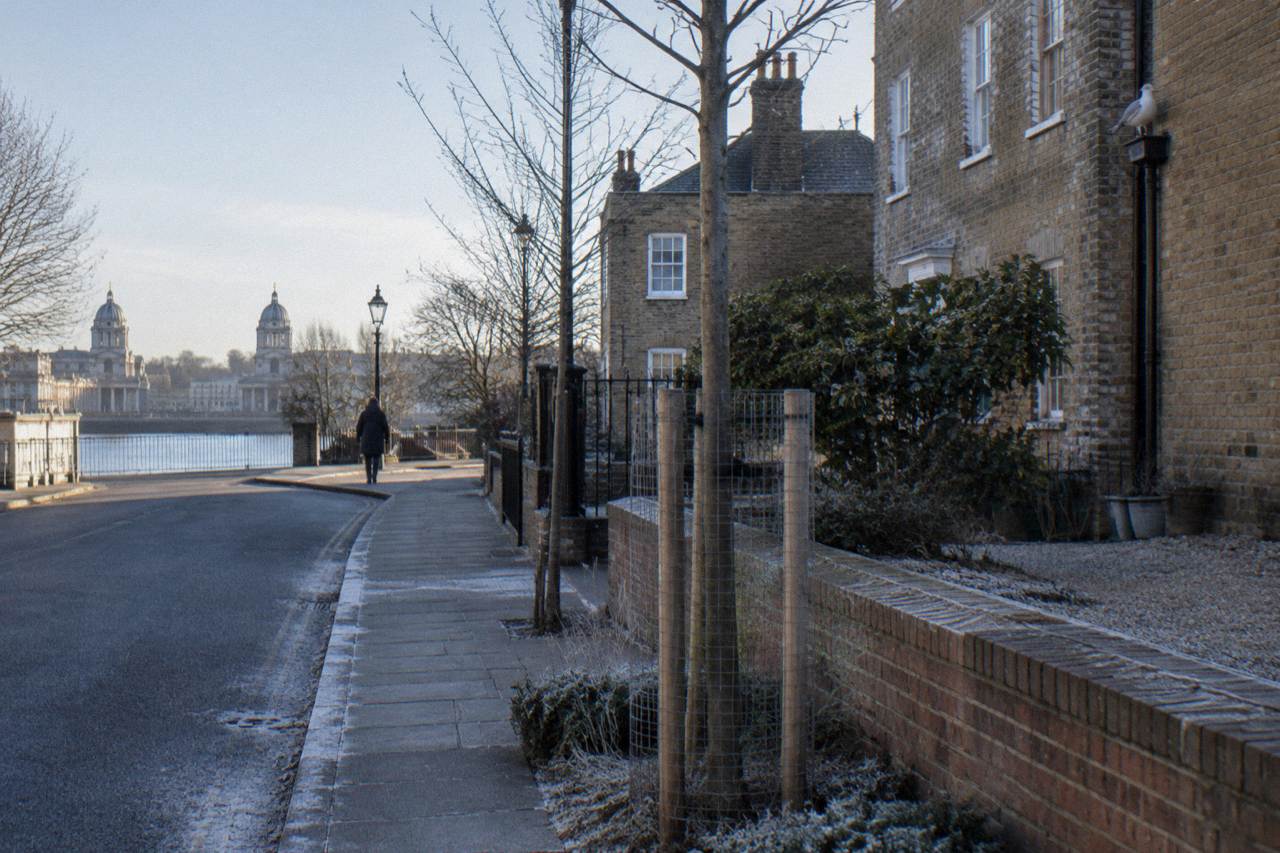 A London street of low brick buildings with a fenced tree at the kerb