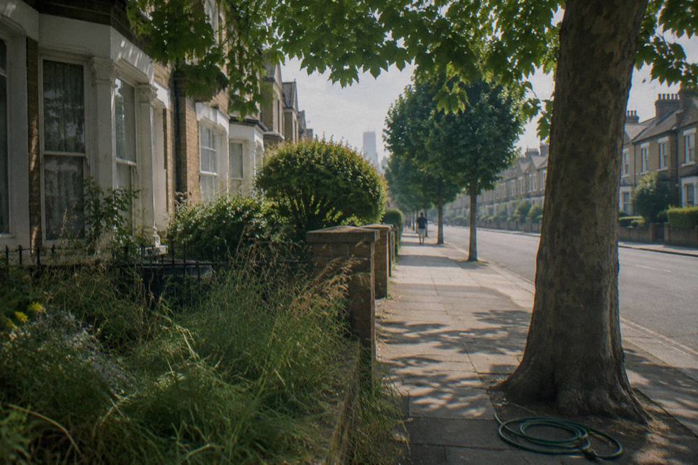 A quiet London residential street with brick terraced houses and plane trees