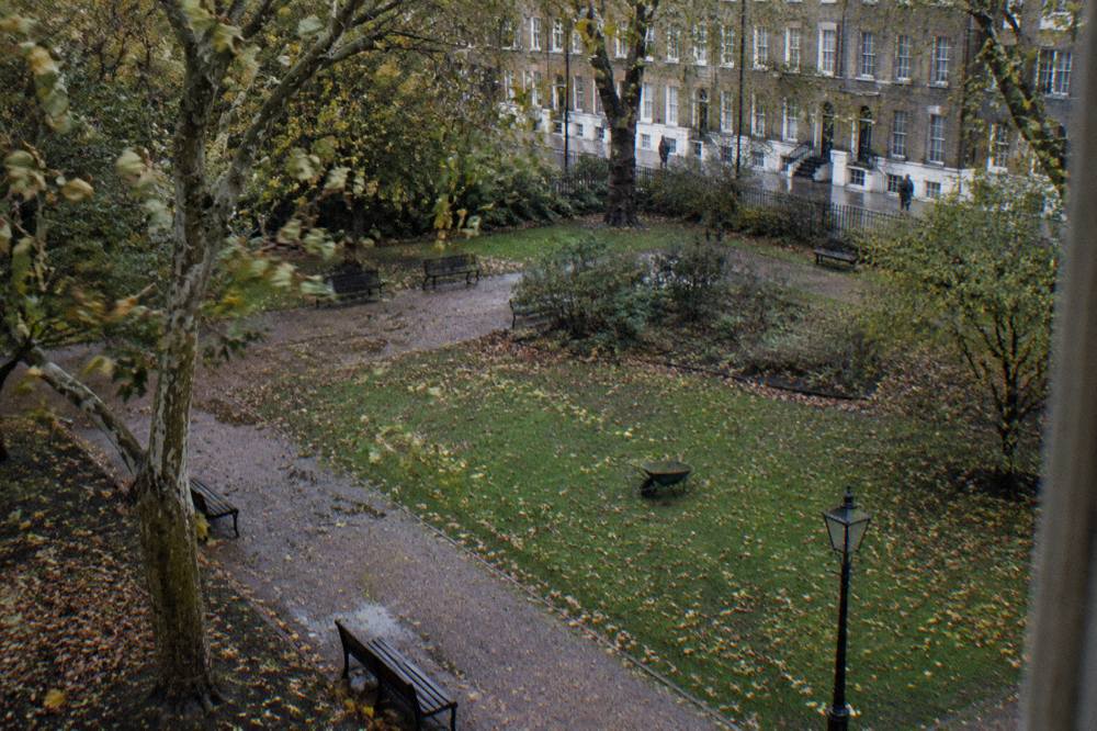 A tree-lined London square with brick terraces and parked bicycles