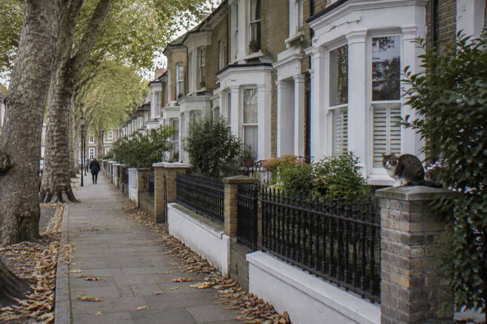 A residential London terrace with bay windows and plane trees along the pavement