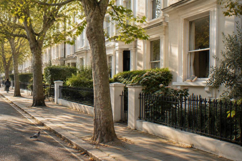 A London terrace street with white stucco facades and plane trees