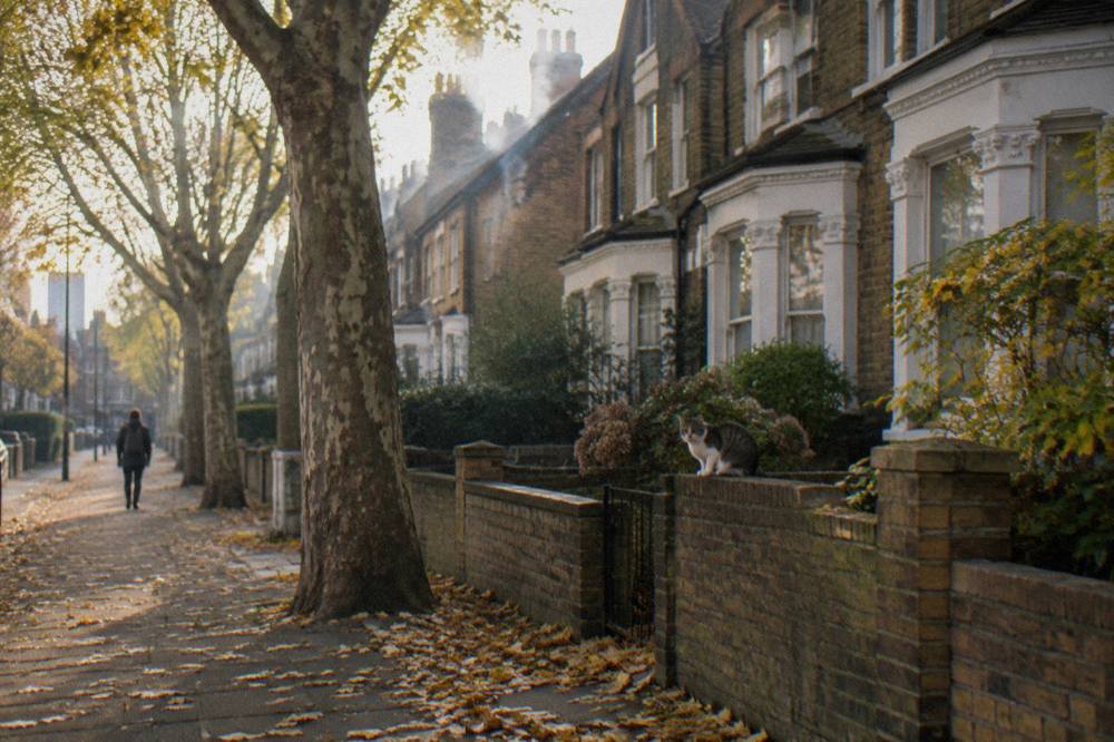 A row of brick terraced houses on a quiet East London street with plane trees