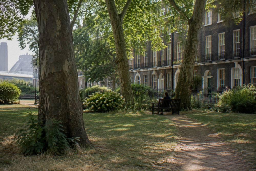 A London residential square with plane trees and parked bicycles
