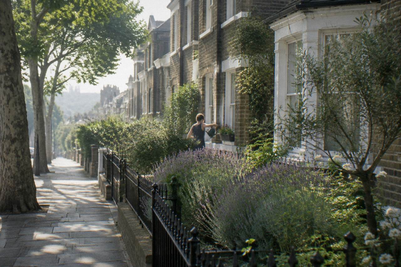 A quiet London residential street with terraced houses and plane trees